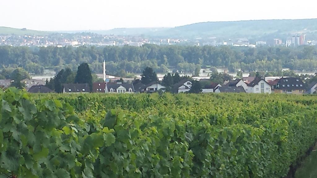 Ferienwohnung Weingut Leis Oestrich-Winkel Habitación foto
